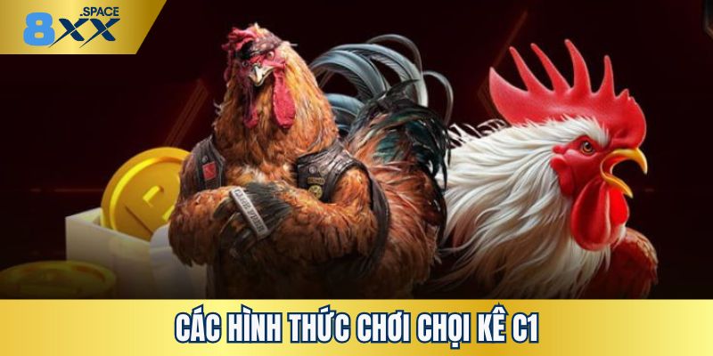 Gà chọi C1 Khám phá các hình thức chơi chọi kê C1 hấp dẫn