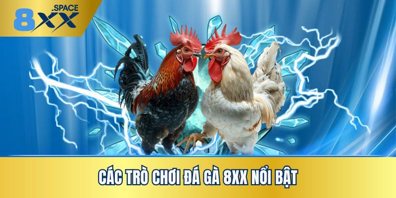 đá gà 8XX Sự đa dạng và độc đáo của các thể loại đá gà 8XX tuyệt đỉnh